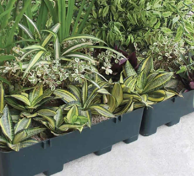 PlanterCell® 130 - Green roof modular tray system